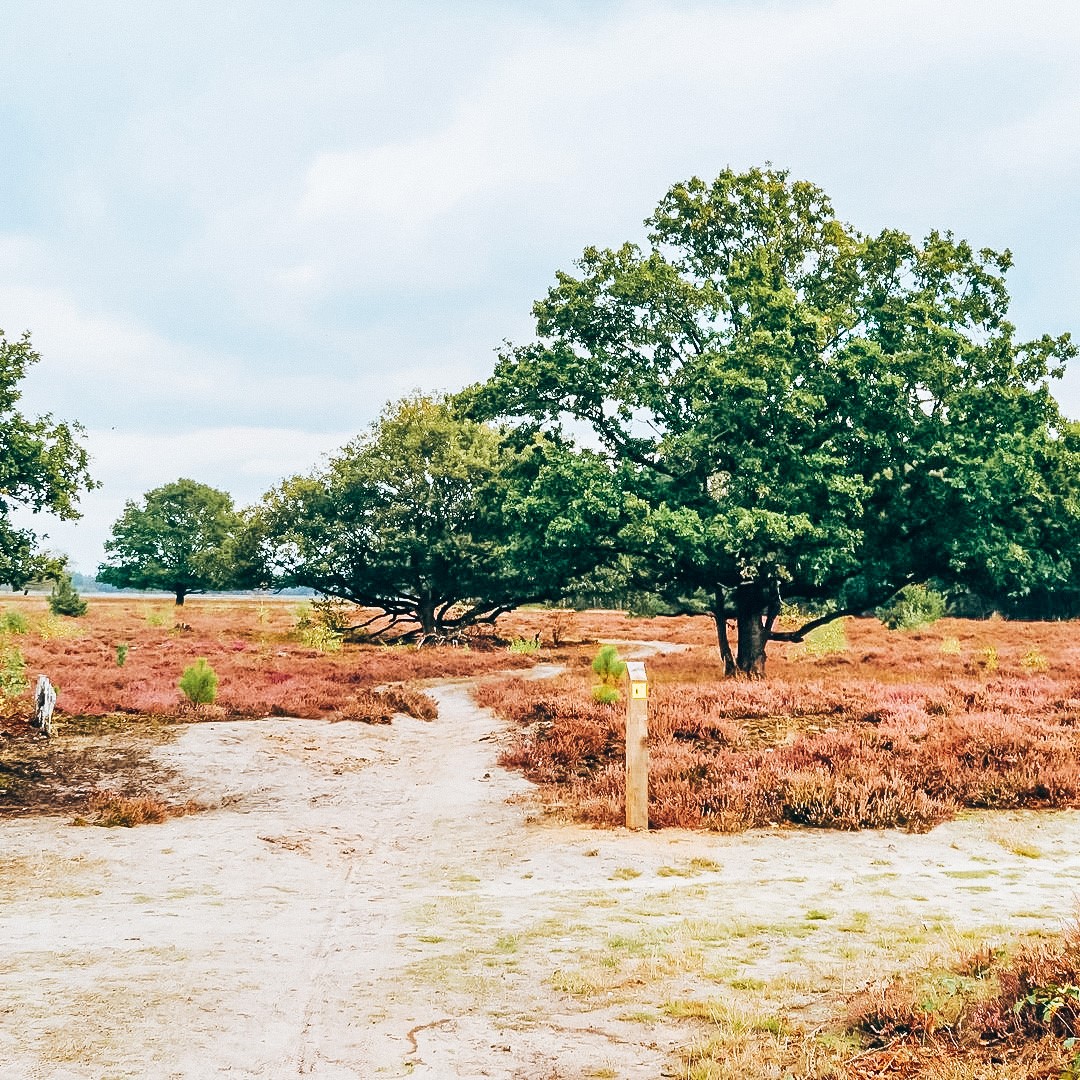 Leuke-wandelroutes-in-brabant