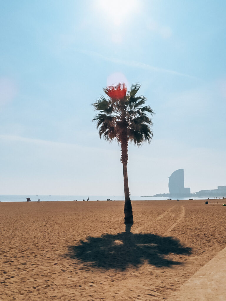 Playa de la Barceloneta - strand - barcelona